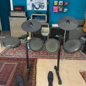 ION AUDIO PRO SESSION