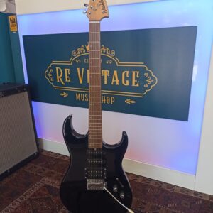 Washburn x-series Pro Black